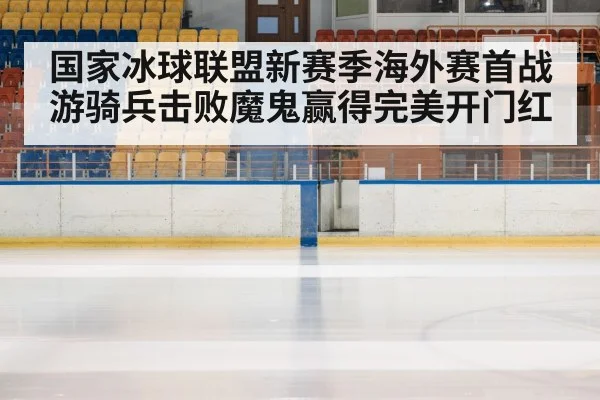 hockey arena atmosphere